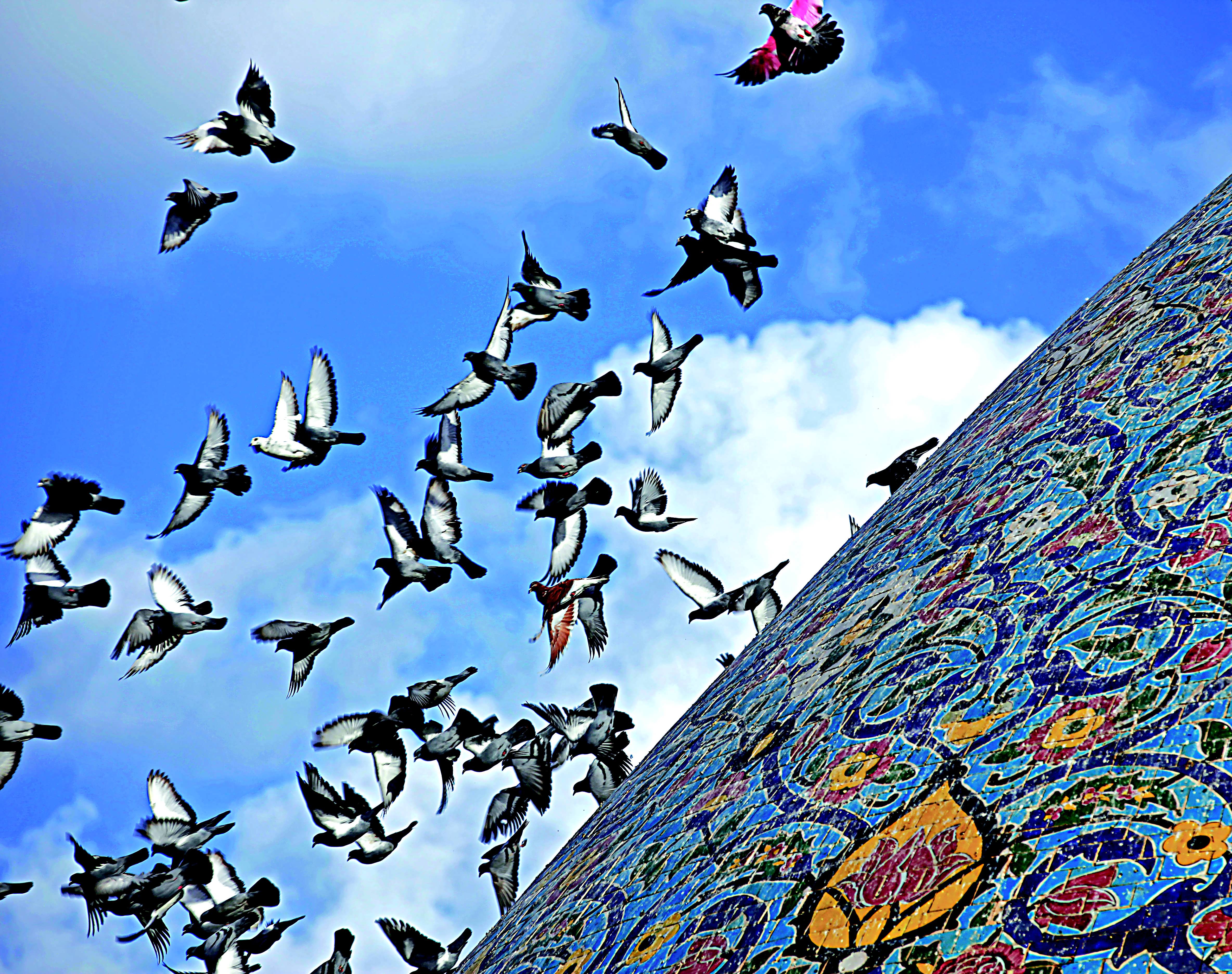 شهر بلد - نمای زیبای گنبد امامزاده سید محمد