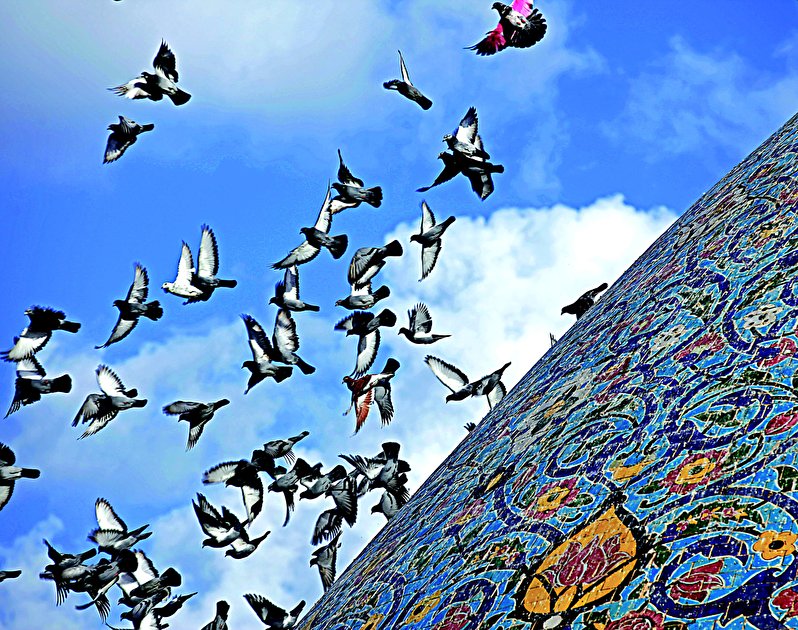 شهر بلد - نمای زیبا از گنبد امامزاده سید محمد