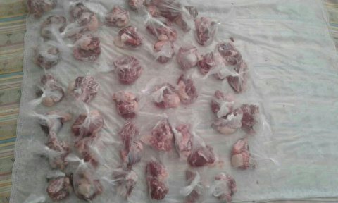 توزیع گوشت قربانی بین 48 خانواده نیامند بخش زنجانرود