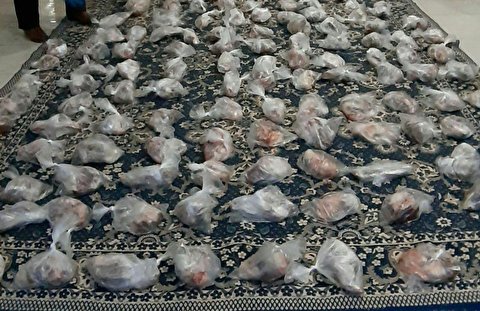توزیع ۸۰بسته مواد غذایی توسط بانوان خادم ستاد عتبات در بین نیازمندان زنجانی