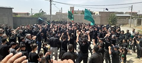 استقبال با شکوه اهالی روستای المکی شهرستان سلطانیه از پرچم متبرک حرم مطهر امام حسین(ع)