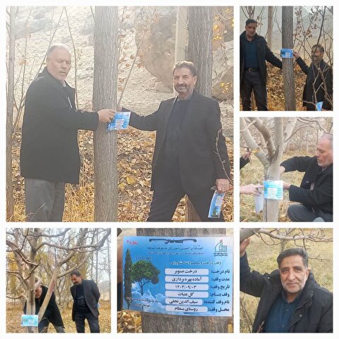 پلاک کوبی درختان وقف شده به ستاد توسعه و بازسازی عتبات عالیات شهرستان چایپاره