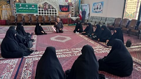 برگزاری کارگاه توجیهی و آموزشی مسئولین امور بانوان ستاد شهرستانهای استان زنجان