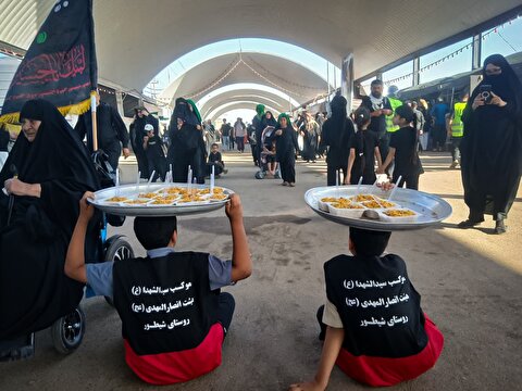 تداوم فعالیت‌های خدماتی موکب «حضرت سیدالشهداء (ع)» در عمود ۷۷۴؛ میزبانی از مشتاقان اربعین توسط هیئت انصارالمهدی (عج)
